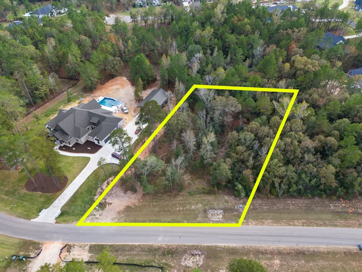 7509 High Meadow Ridge Drive, Montgomery, TX 77316 - Image #1