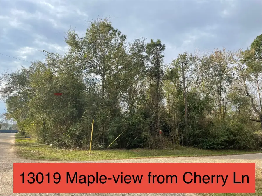 13019 Maple Street, Crosby, TX 77532 - #3