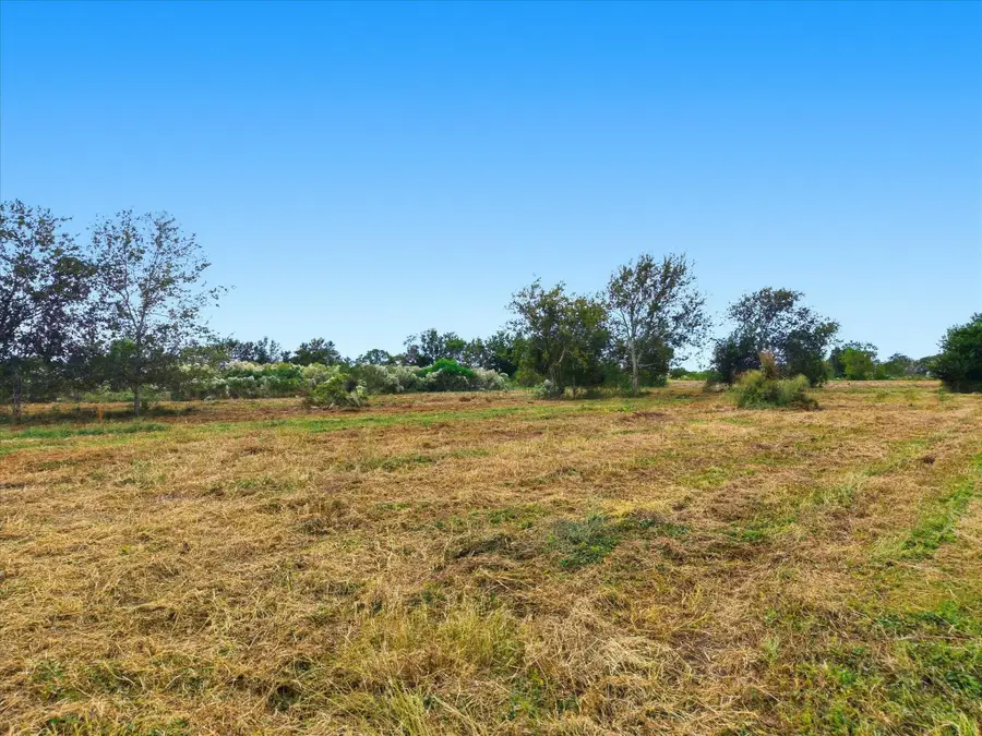 Lot 4 Cow Creek Road, Damon, TX 77430 - Image #2
