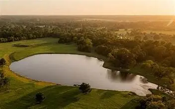 15645 Ridge Rock Road, Willis, TX 77378 - Image #3