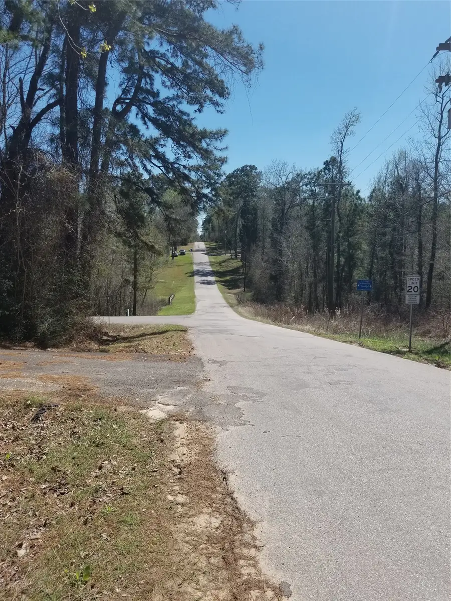 0 Northwoods Drive, Point Blank, TX 77364 - #2