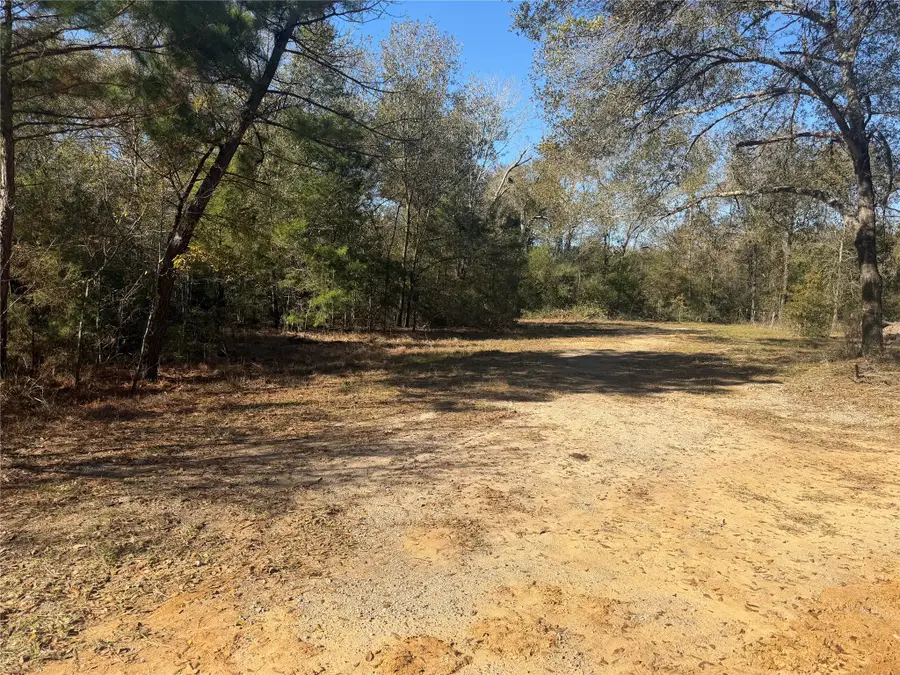 9301 Puddin Lane, Madisonville, TX 77864 - Image #3