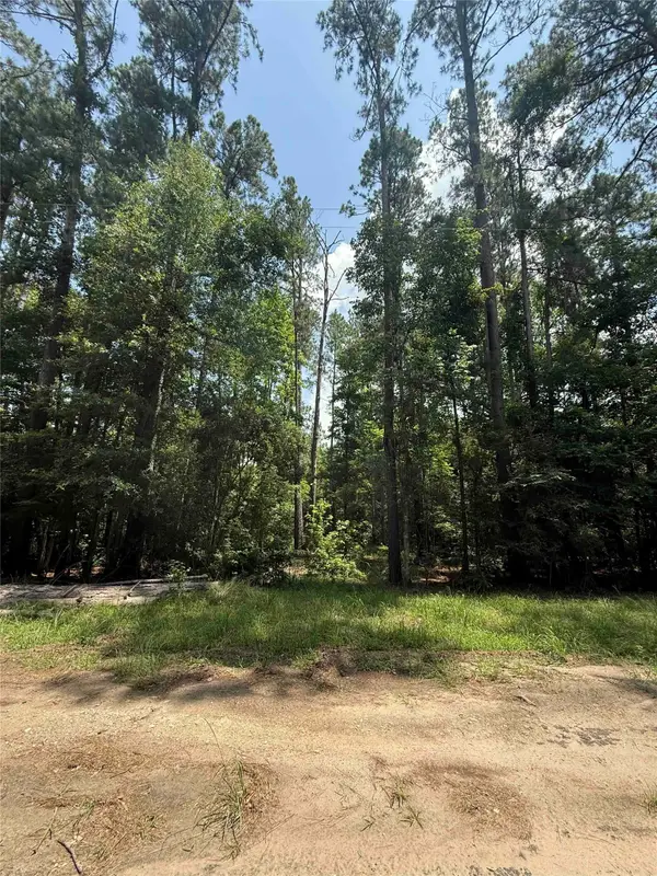 220 W Lake Shore Drive, Livingston, TX 77351