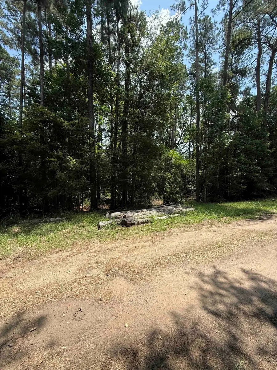 220 W Lake Shore Drive, Livingston, TX 77351 - #3