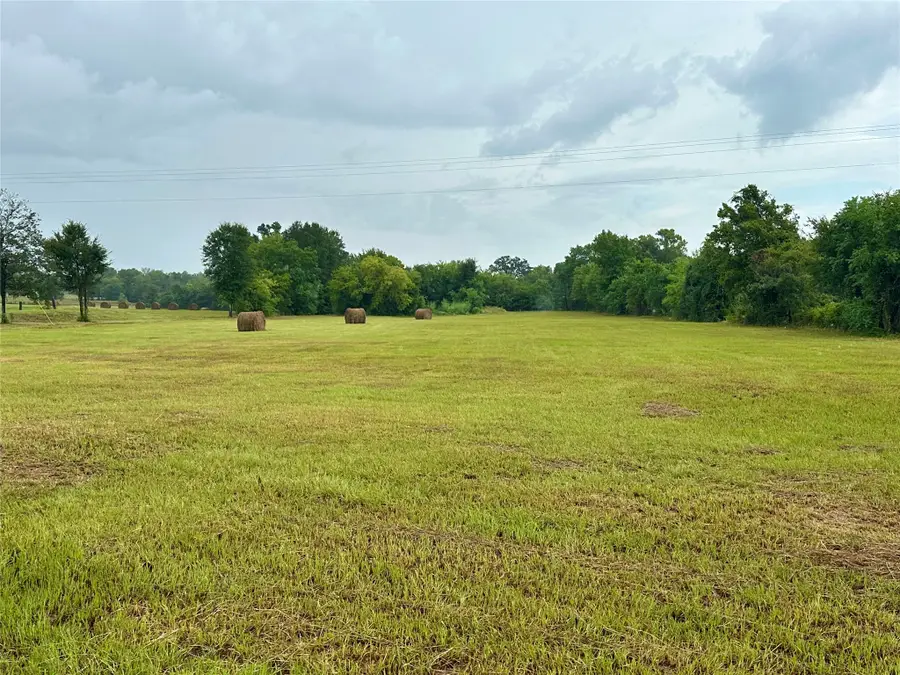 TBD Roy Webb Road Road, Huntsville, TX 77320 - #2