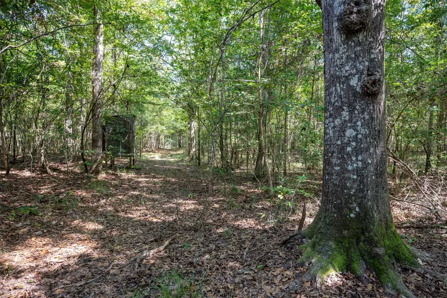 tbd County Road 4520, Warren, TX 77664 - #3