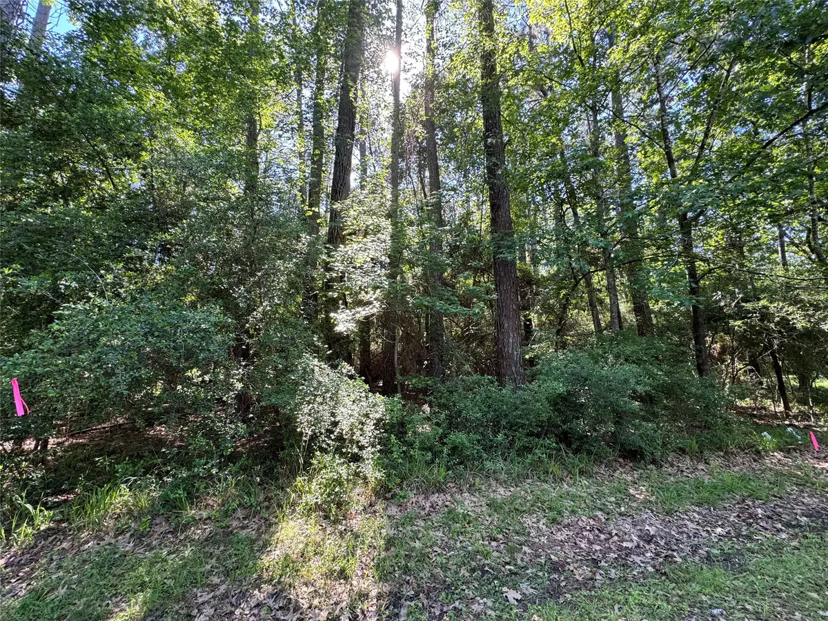 16 Forrest Hollow, Trinity, TX 75862 - #1
