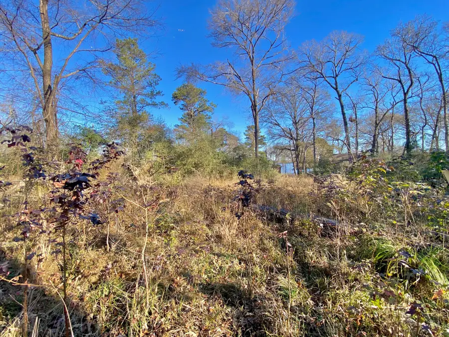 Lot #9 Tall Timber Road, Crockett, TX 75835 - Image #3