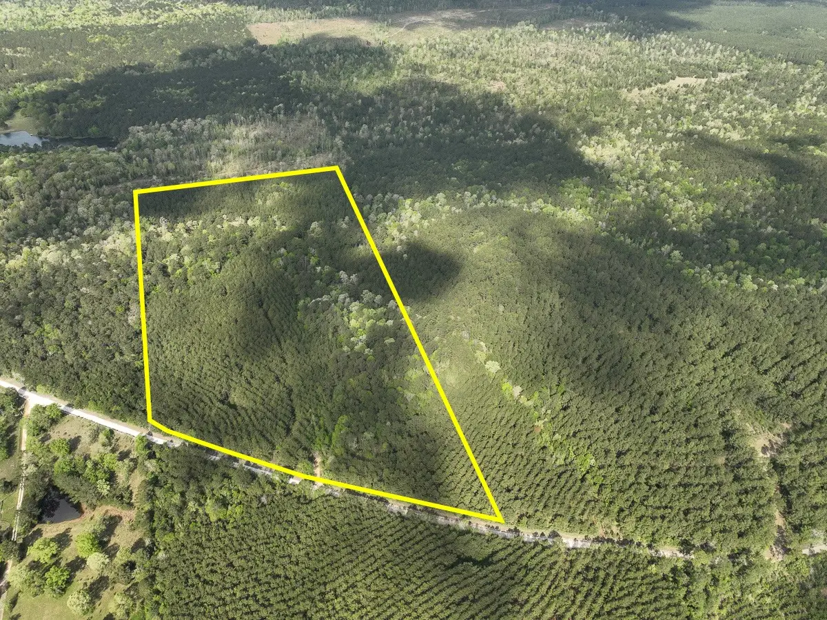 2 Cr 4280, Woodville, TX 75979 - #1