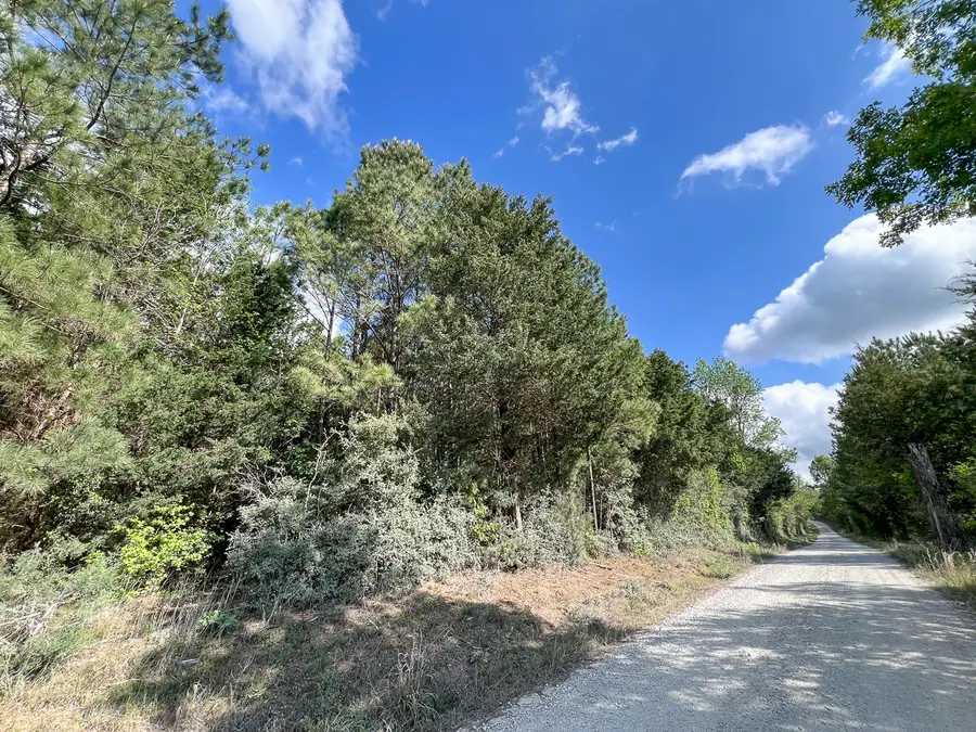 2 Cr 4280, Woodville, TX 75979 - #3