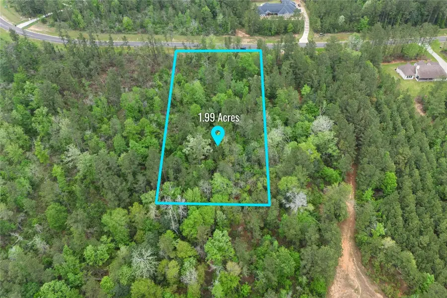 11800 Grand North Road, Willis, TX 77378 - #2