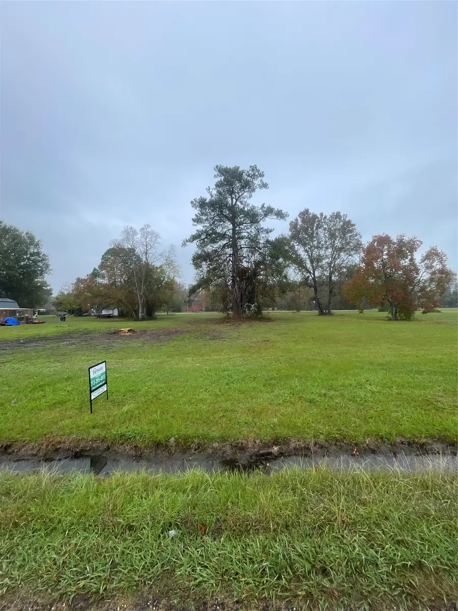 TBD High Crest Drive, Point Blank, TX 77364 - #2
