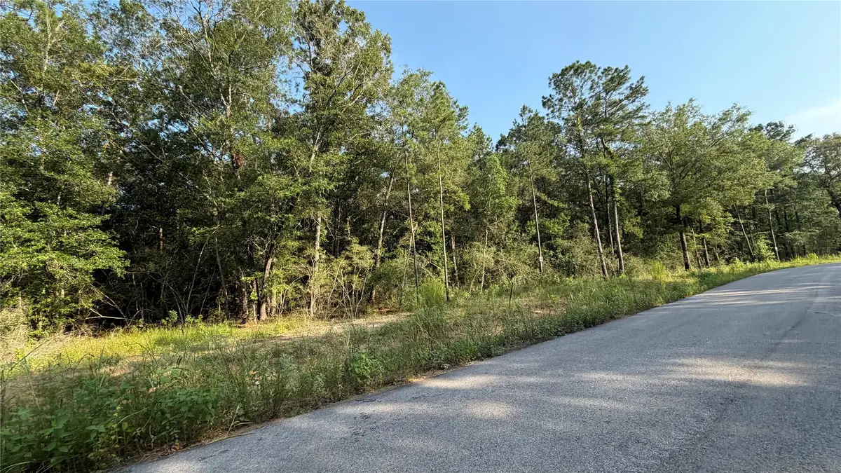 213 County Road 6311, Dayton, TX 77535 - #1