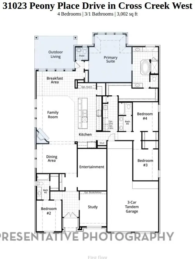 31023 Peony Place Drive, Fulshear, TX 77441 - #2