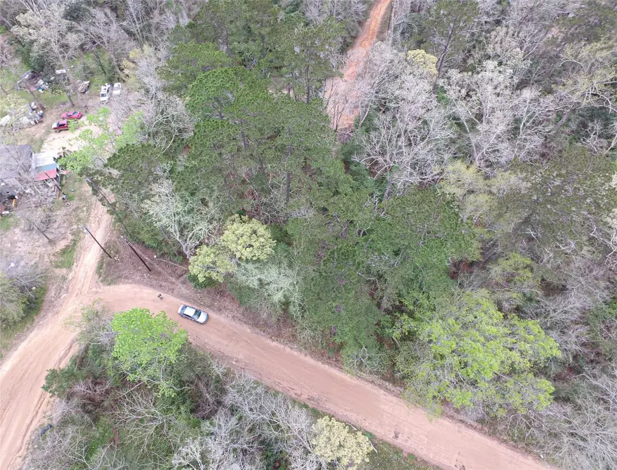 TBD Gene Autry Trail, Livingston, TX 77351 - #3