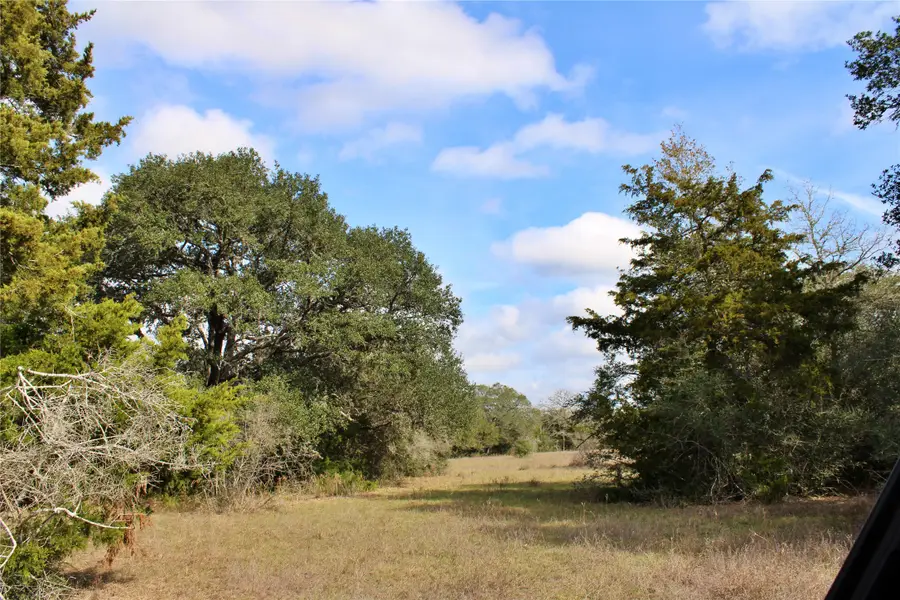 TBD Parcel 7 Lobo Lane, Columbus, TX 78934 - #2