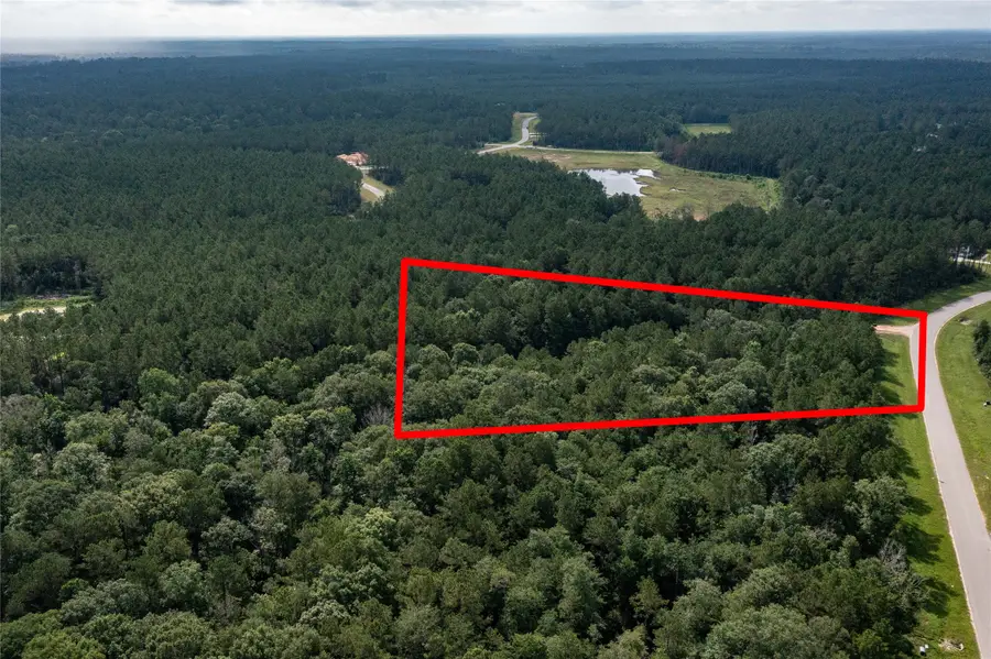 10775 Ruger Road, Willis, TX 77378 - #3