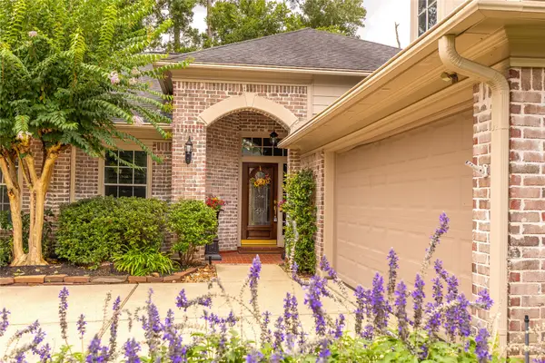 19 Palmer Green Place, Spring, TX 77381