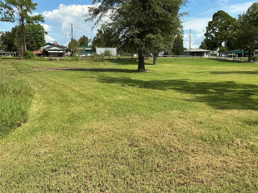 TBD Yaupon Cove Dr, Onalaska, TX 77360 - #3