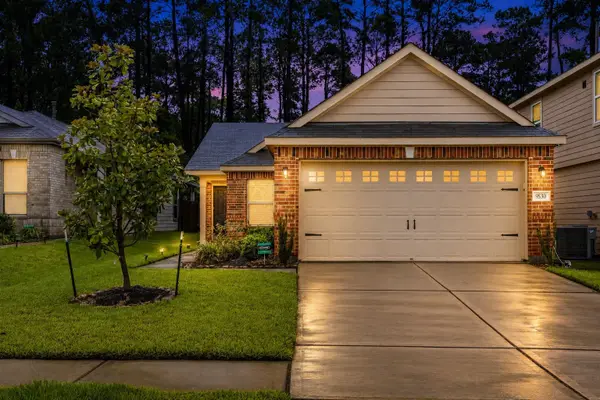 9530 Louis Phillip Street, Magnolia, TX 77354