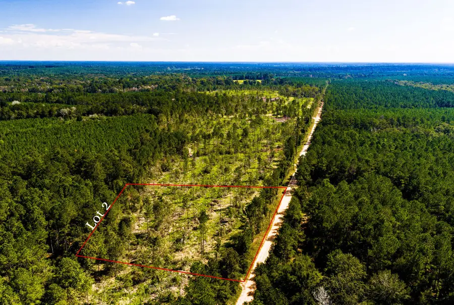 002 Buddy Lloyd Rd, Livingston, TX 77351 - #2
