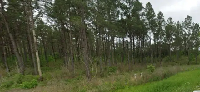 0 Fm 350 S, Livingston, TX 77351 - #2
