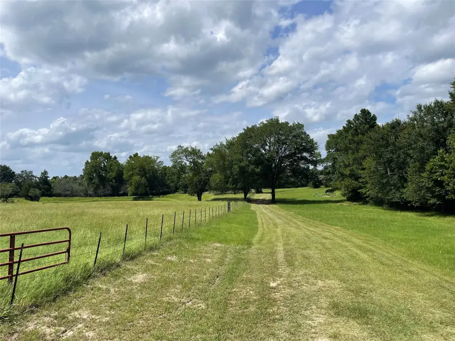 1666 Us Highway 84, Oakwood, TX 75855 - #3