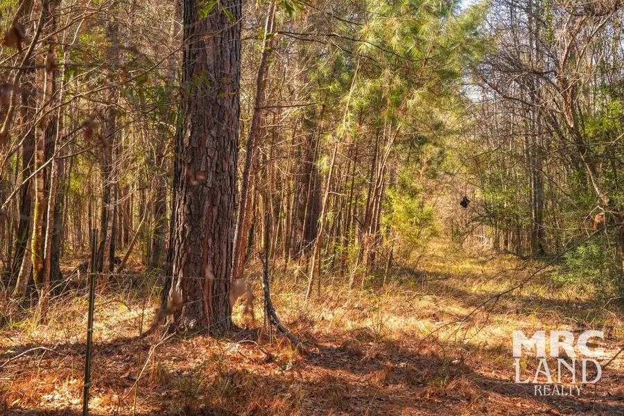 00 Recreational Road 255, Colmesneil, TX 75938 - #3