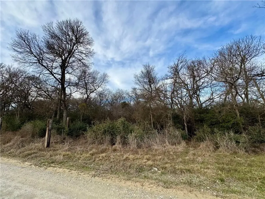 10075 River Ridge Drive, Hearne, TX 77859 - Image #2
