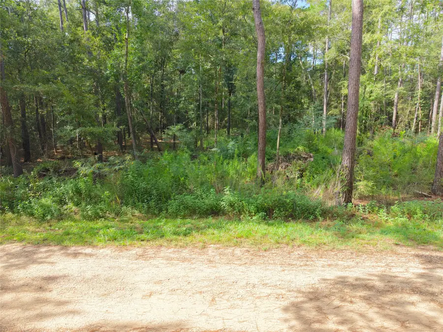 0 Largent Drive, Plantersville, TX 77363 - #3