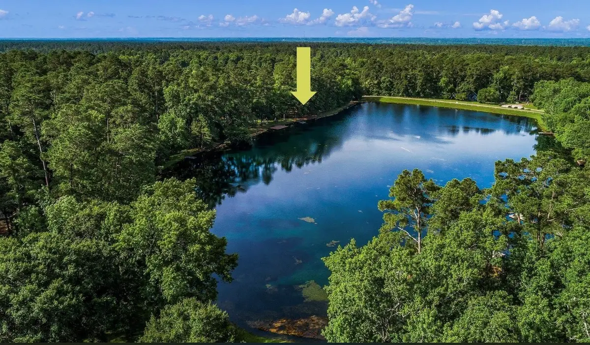 10289 Crescent Drive, Montgomery, TX 77316 - Image #1