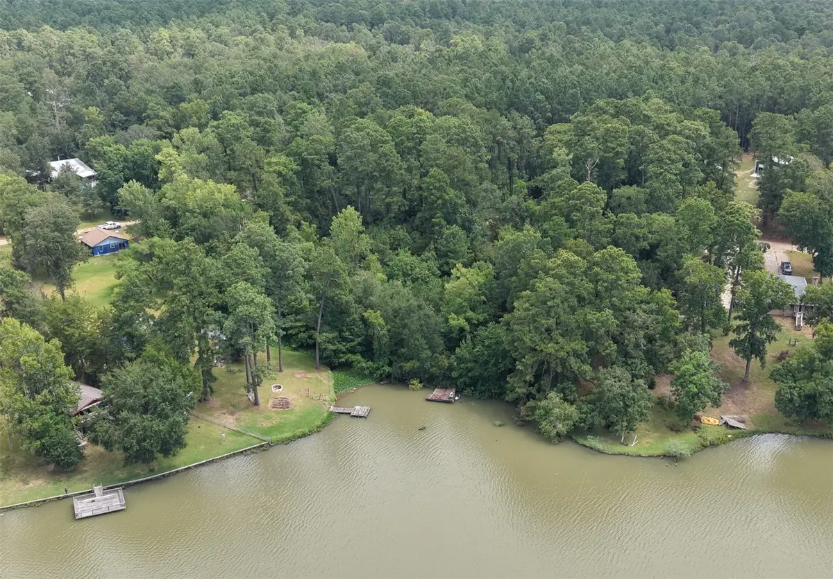 142 Idylwood Drive, Goodrich, TX 77335 - #1
