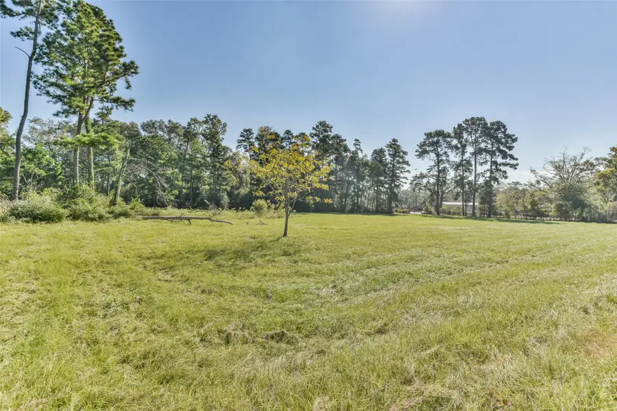 TBD W Fm 2693, New Waverly, TX 77358 - #3