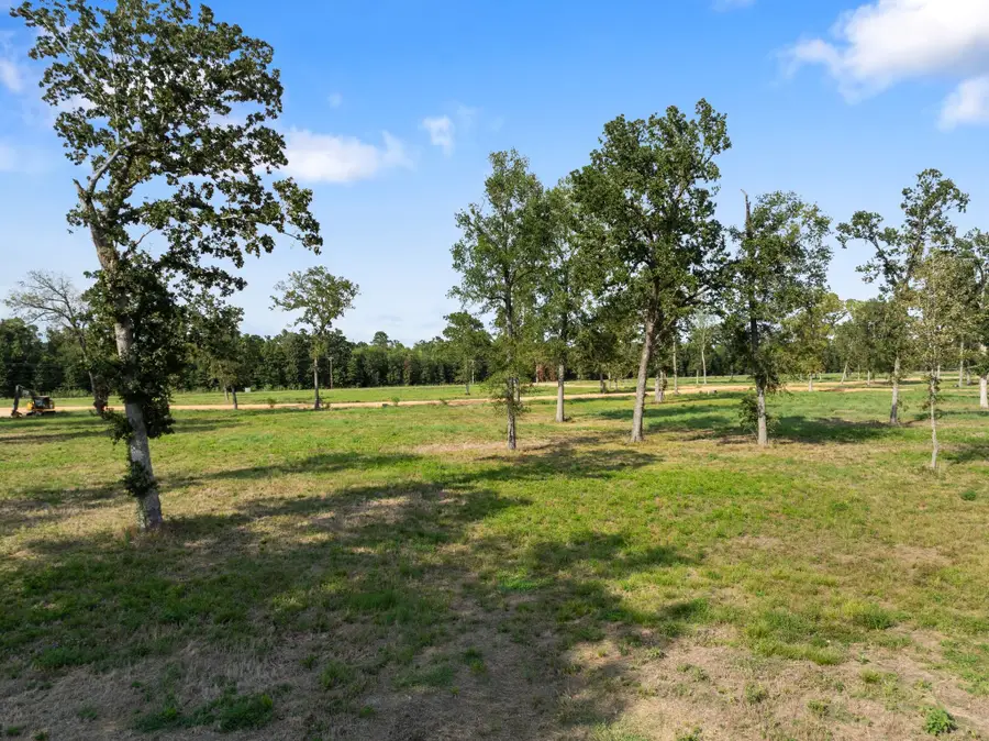 Lot 43 Island View, Livingston, TX 77351 - Image #3