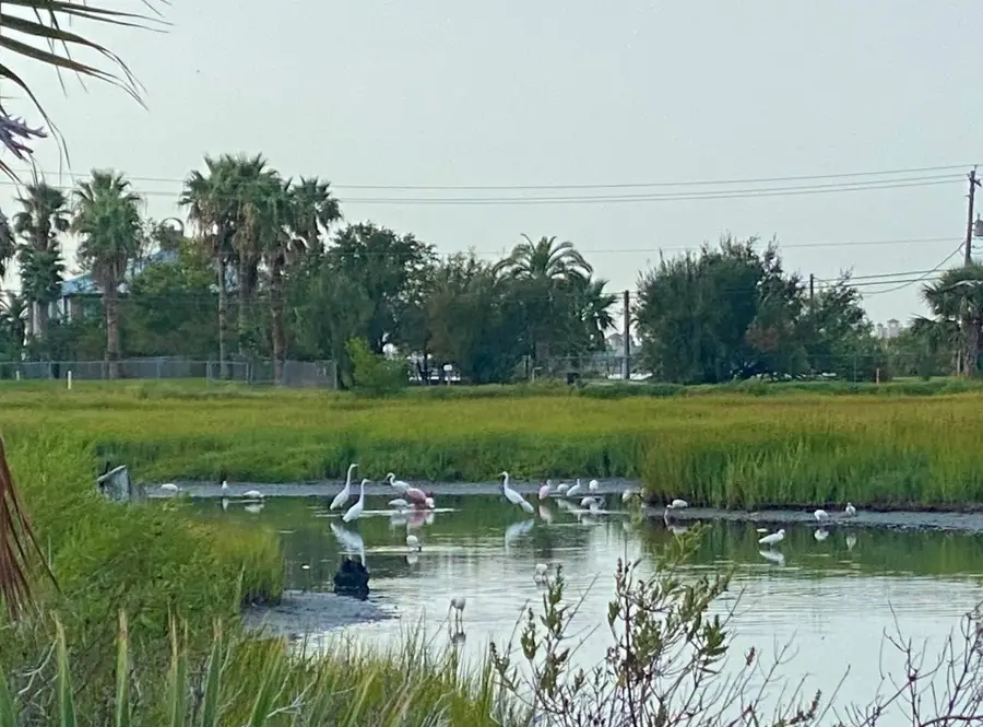 9115 W Bay Road, Galveston, TX 77554 - #3