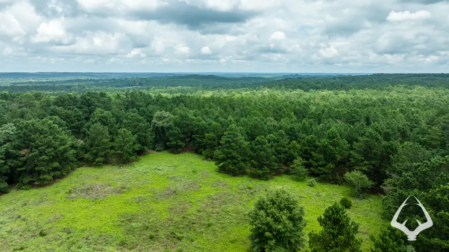 00 County Road 2265, Grapeland, TX 75844 - #2