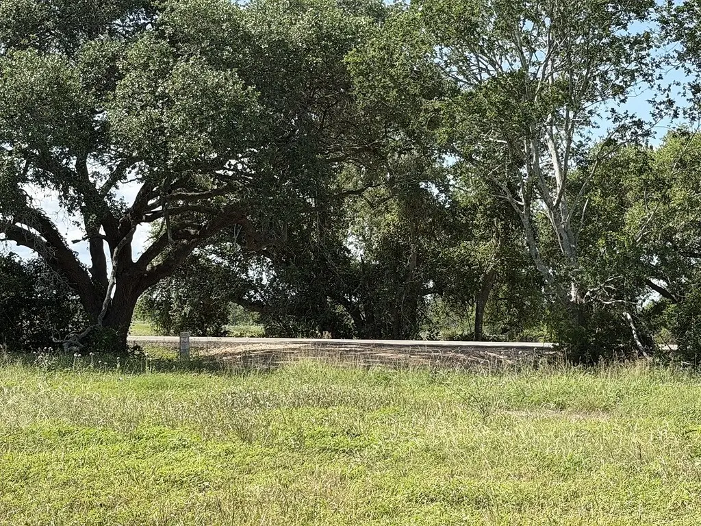 TBD2&3 Fm 532, Weimar, TX 78962 - #1