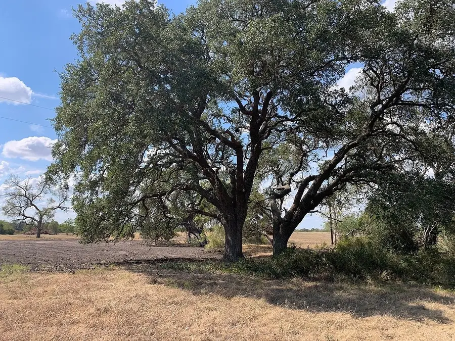 TBD2&3 Fm 532, Weimar, TX 78962 - #3
