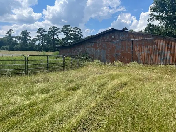 12535 Nicholson Road, Conroe, TX 77303