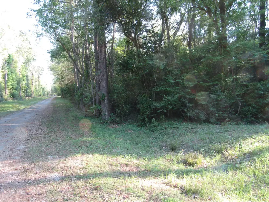 TBD Holly Lane, New Caney, TX 77357 - Image #3
