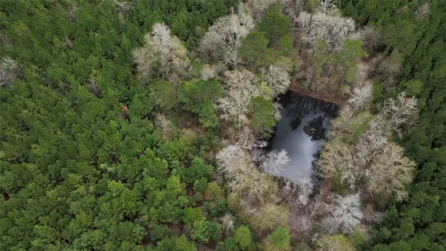 1 Fm 252, Kirbyville, TX 75956 - Image #2