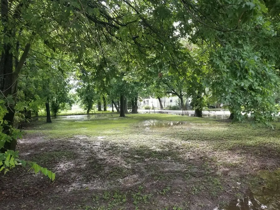 2523 Sakowitz Street, Houston, TX 77020 - #2