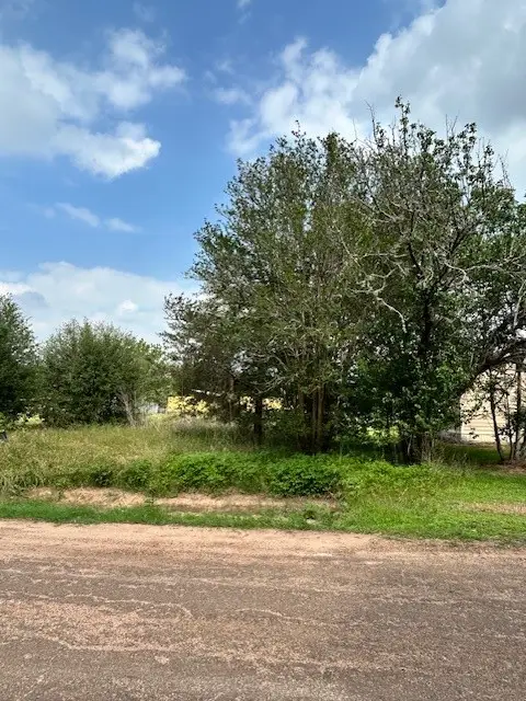 0 2nd Street, Hempstead, TX 77445 - #2
