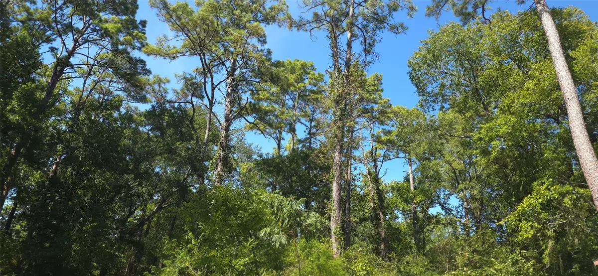 TBD Cove Dr, Point Blank, TX 77364 - #1