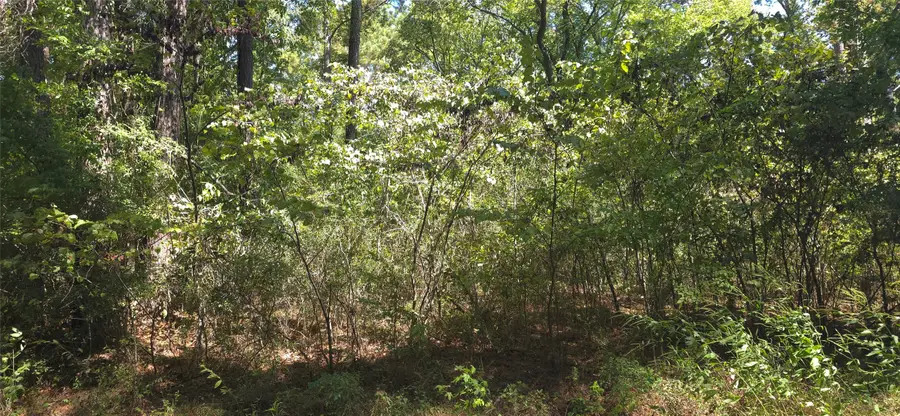 TBD Cove Dr, Point Blank, TX 77364 - #2