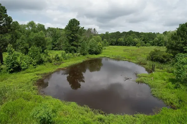 18.17 Acres County Road 1190, Grapeland, TX 75844