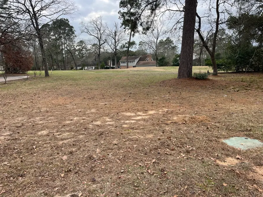 0 River Plantation, Conroe, TX 77302 - #3