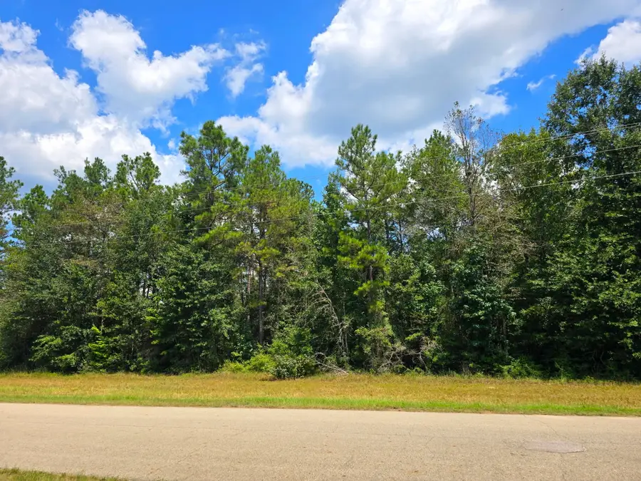 4230 Cross Cut, Cleveland, TX 77328 - Image #3