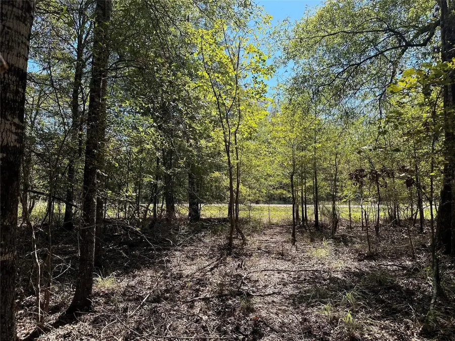 TBD Somerset Trail Road, Point Blank, TX 77364 - #2