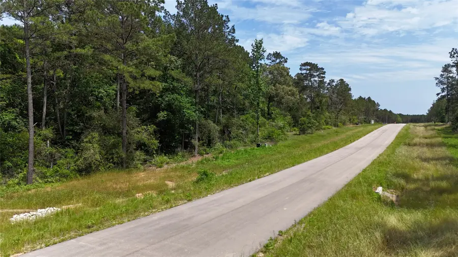 16308 Golden Wood Court, Willis, TX 77378 - #3